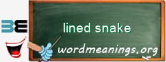 WordMeaning blackboard for lined snake